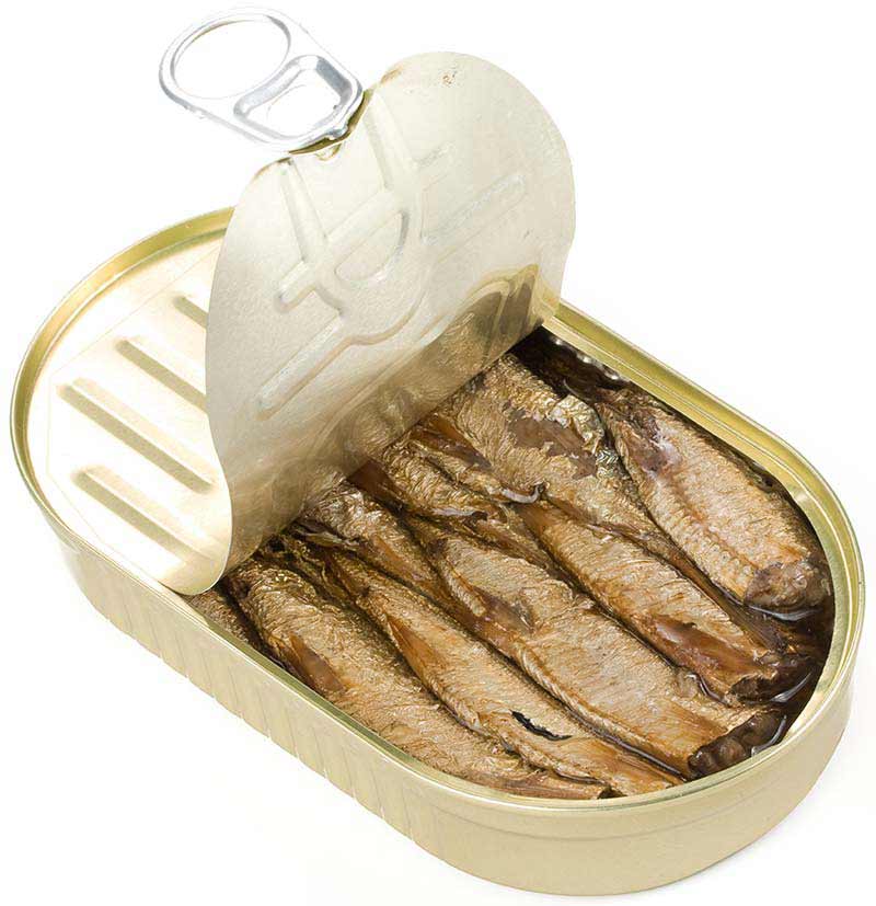 Can with Fish